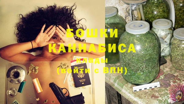 сатива Архангельск