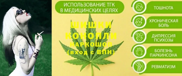 молекула духа Михайловск