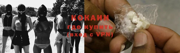 мяу мяу мука Чегем