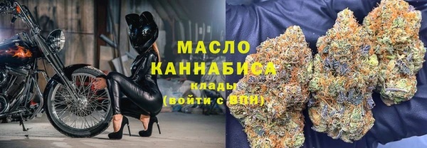 молекула духа Михайловск