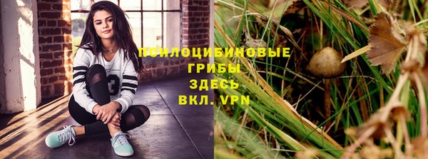 ALPHA-PVP Чердынь