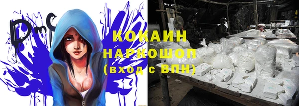 молекула духа Чекалин