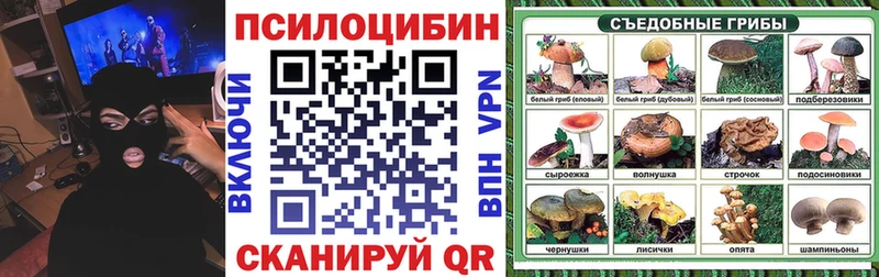 где купить   Волоколамск  Псилоцибиновые грибы Psilocybine cubensis 